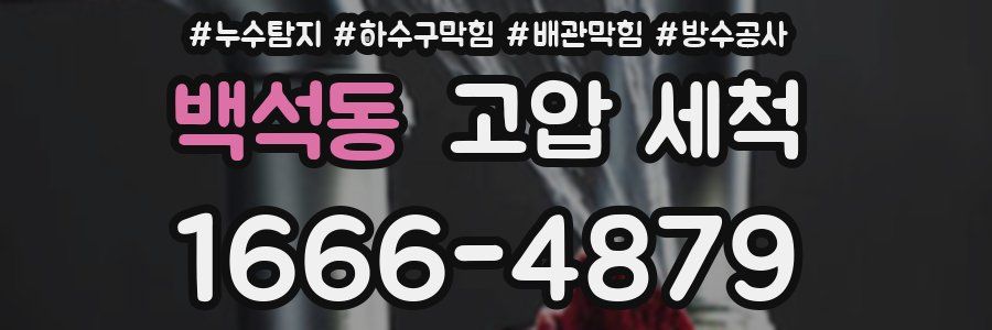 백석동 고압 세척