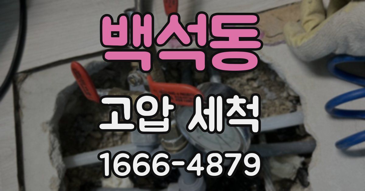 백석동 고압 세척