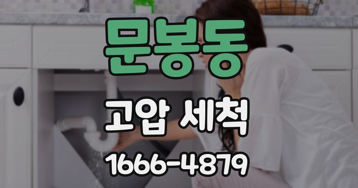 문봉동 고압 세척
