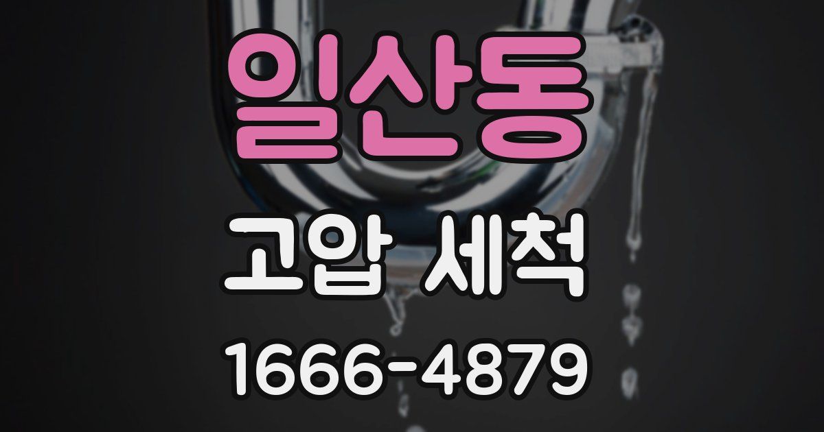 일산동 고압 세척