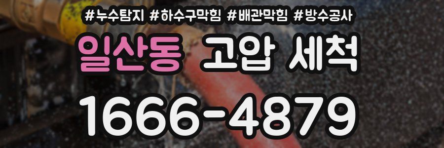 일산동 고압 세척
