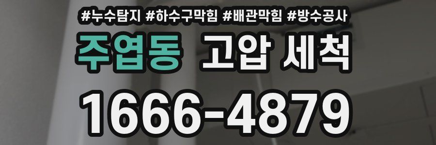 주엽동 고압 세척