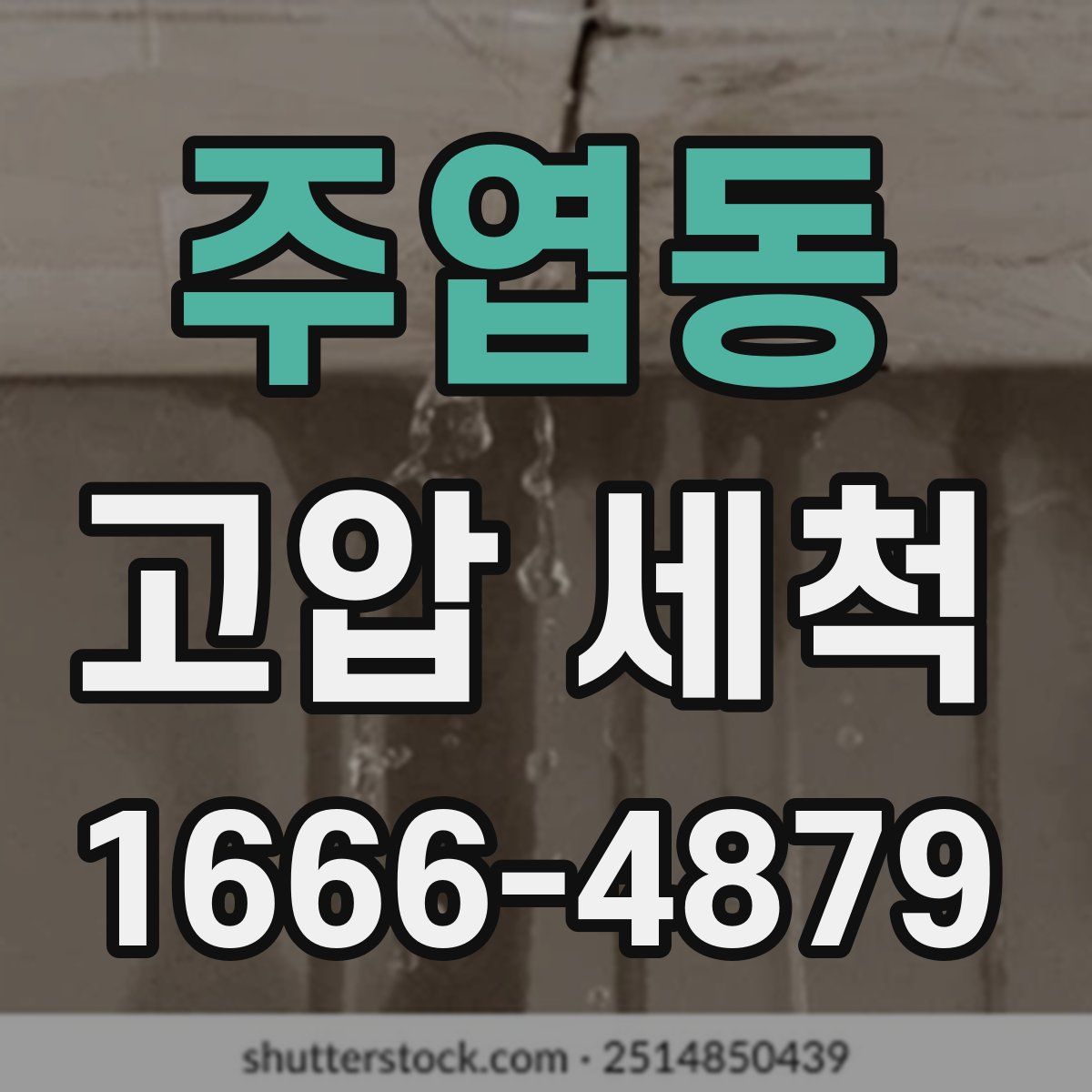 주엽동 고압 세척