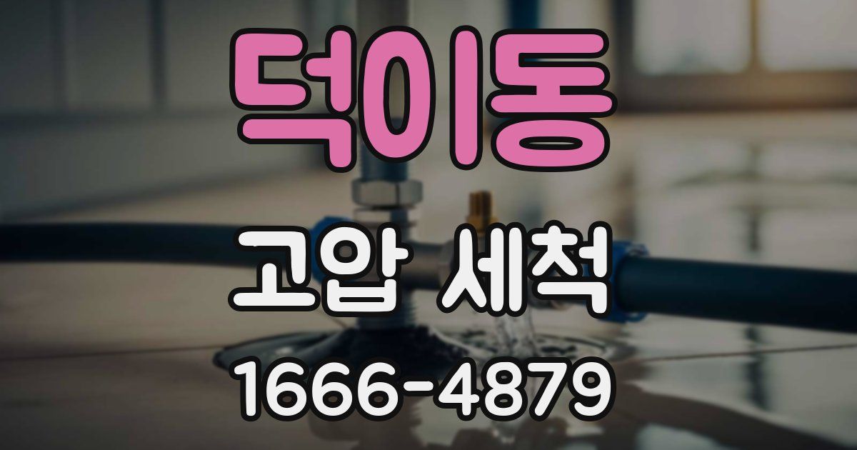 덕이동 고압 세척
