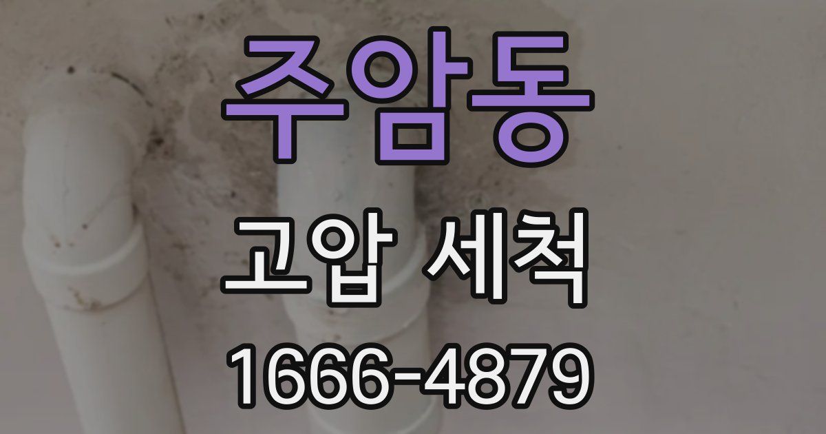 주암동 고압 세척