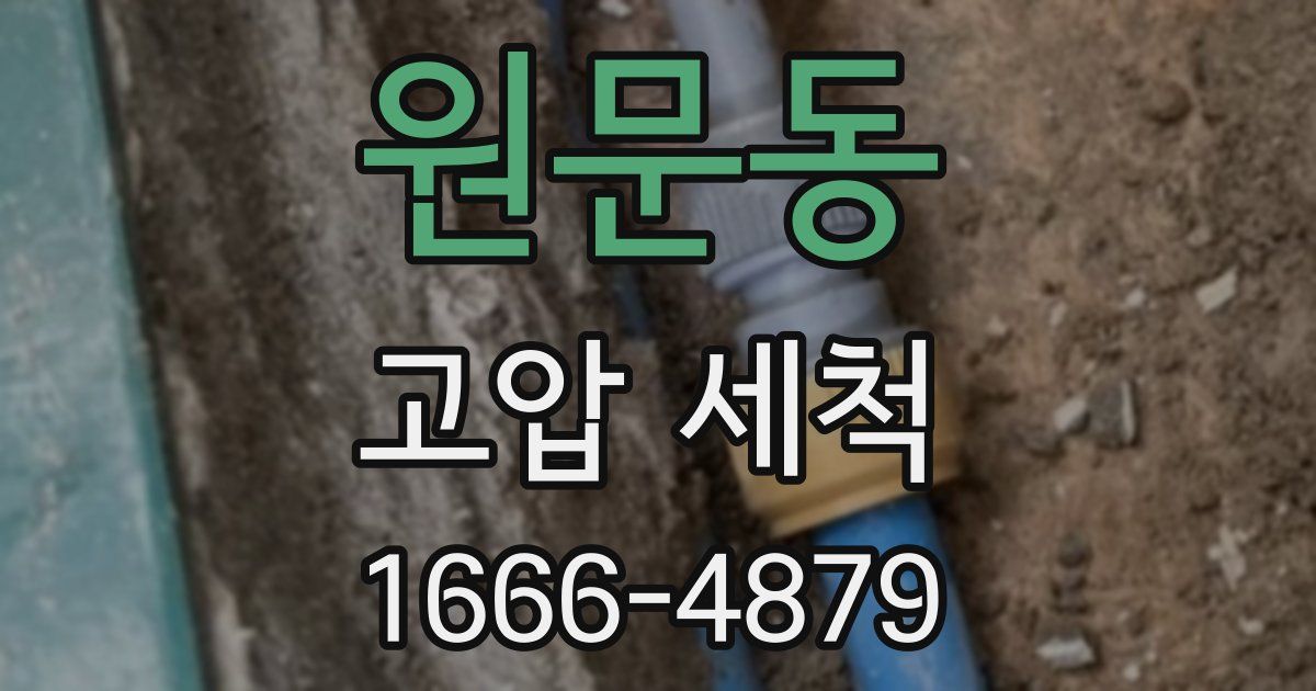 원문동 고압 세척