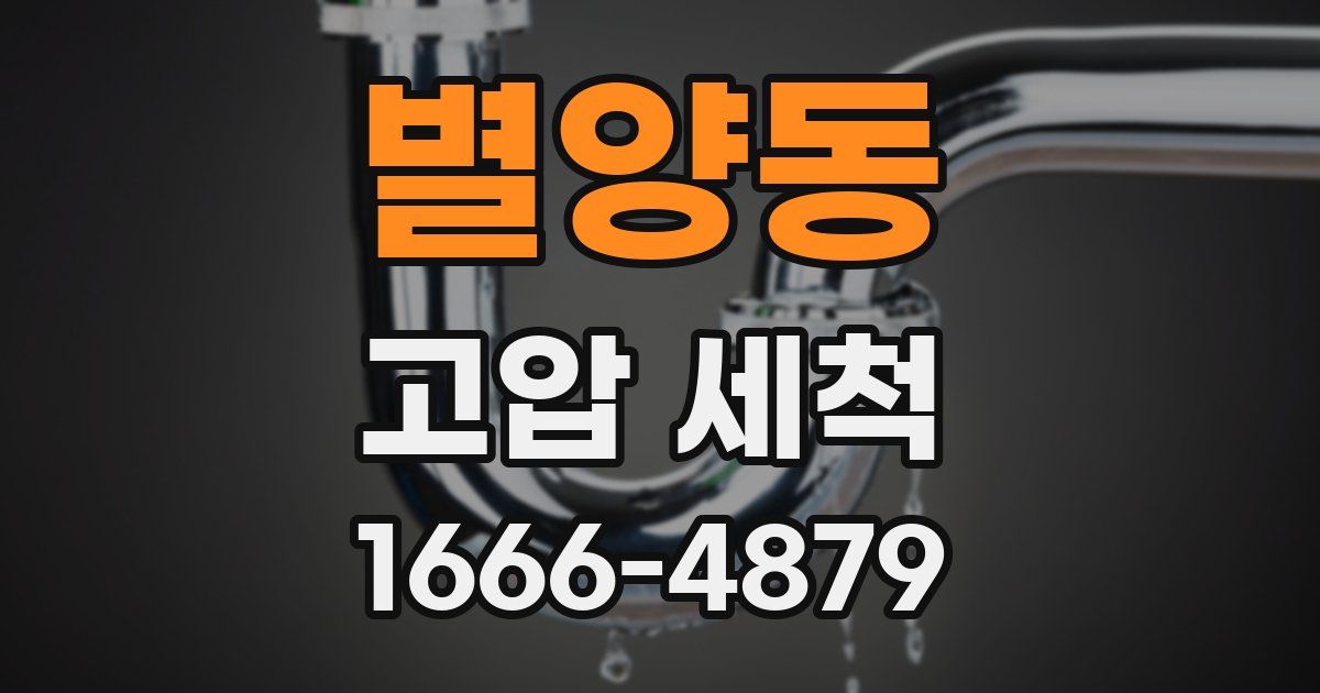 별양동 고압 세척