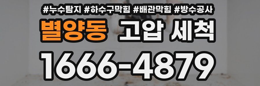 별양동 고압 세척
