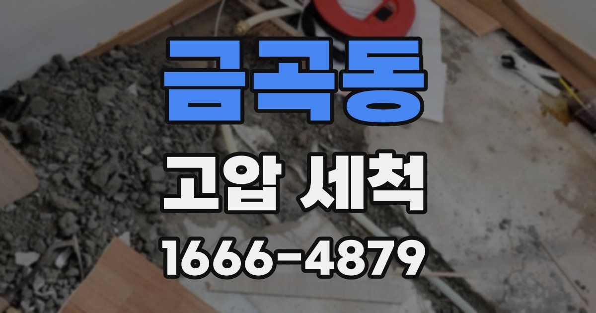 금곡동 고압 세척