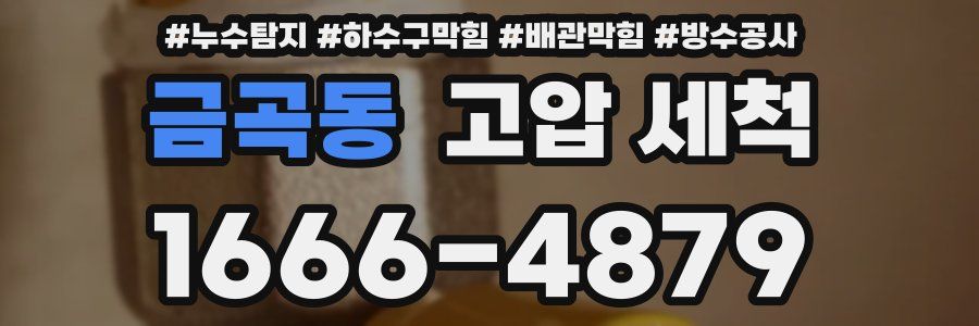금곡동 고압 세척