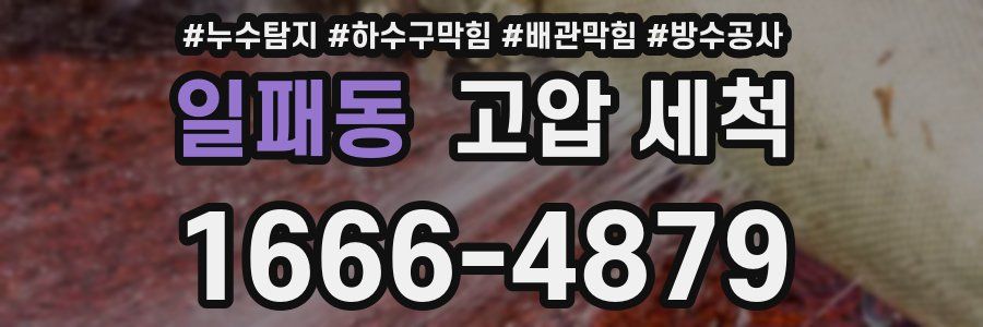 일패동 고압 세척