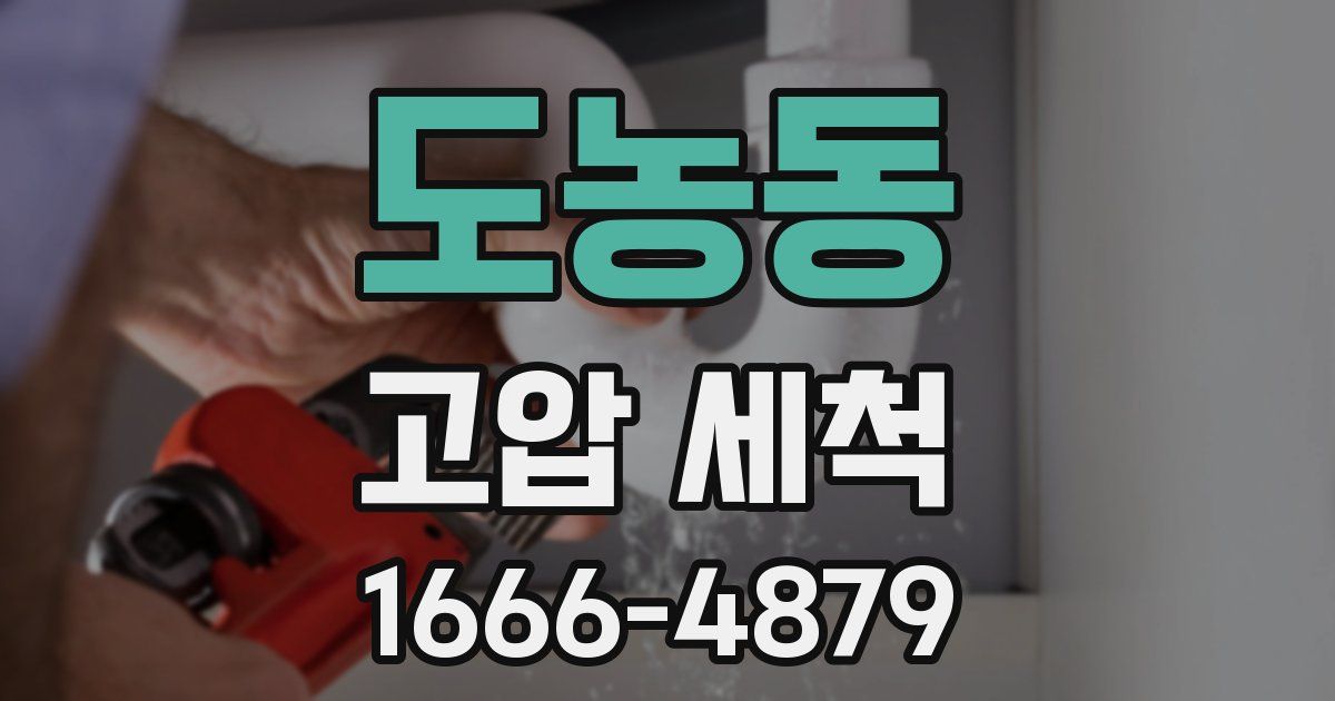 도농동 고압 세척