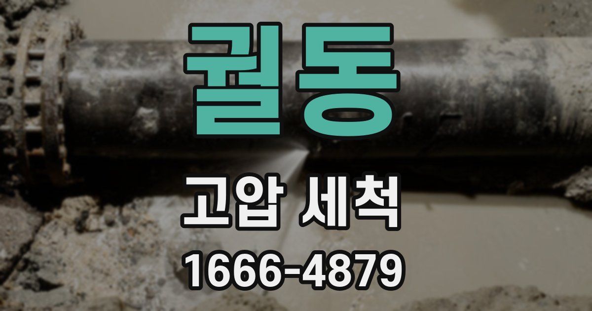 궐동 고압 세척