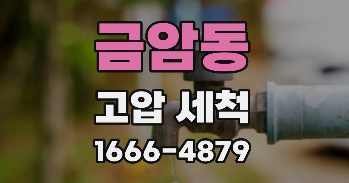 금암동 고압 세척