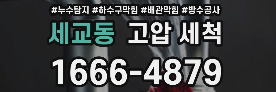 세교동 고압 세척