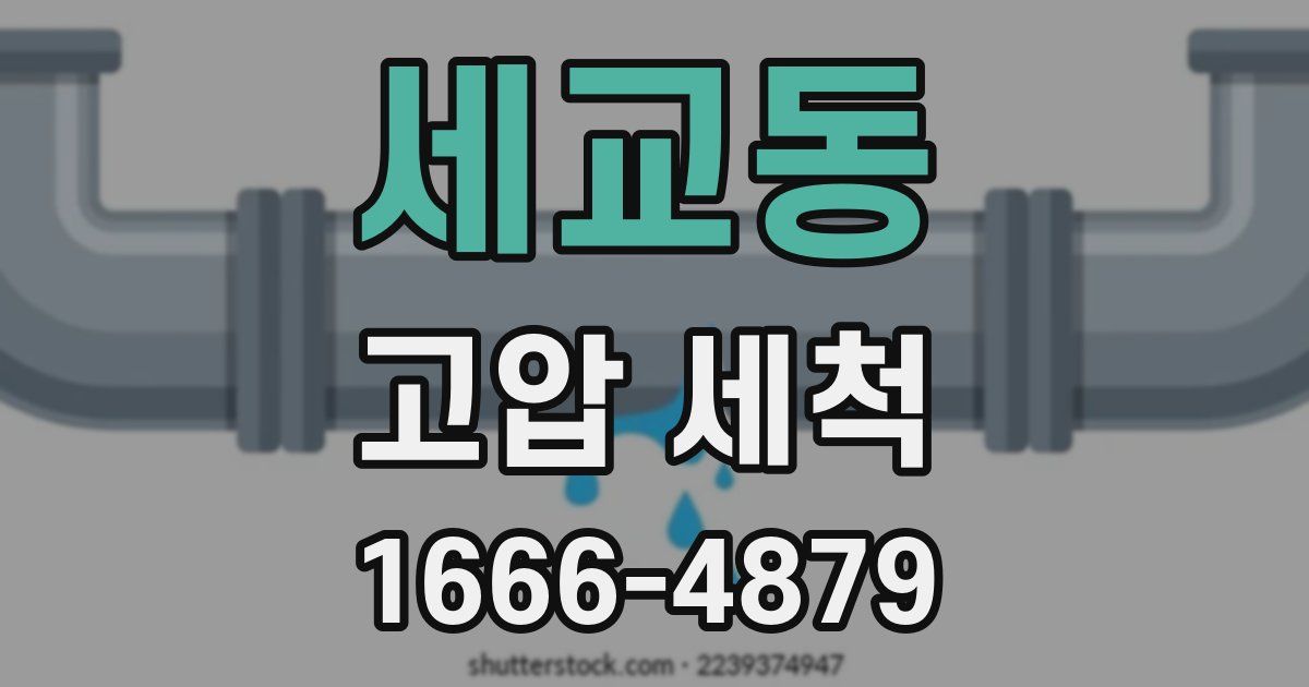 세교동 고압 세척