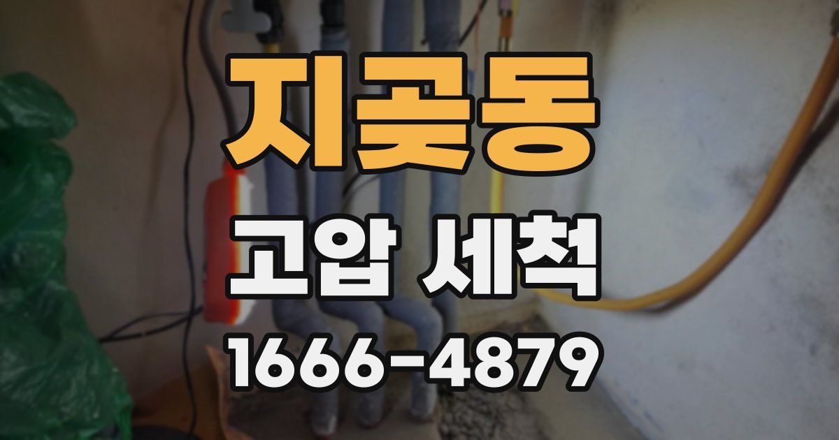 지곶동 고압 세척