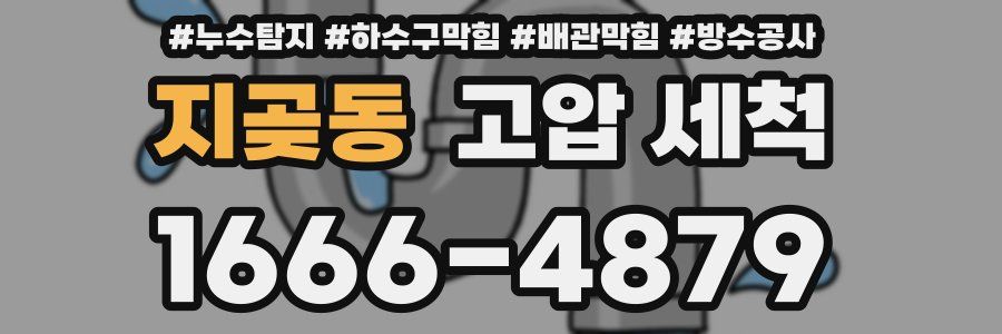 지곶동 고압 세척