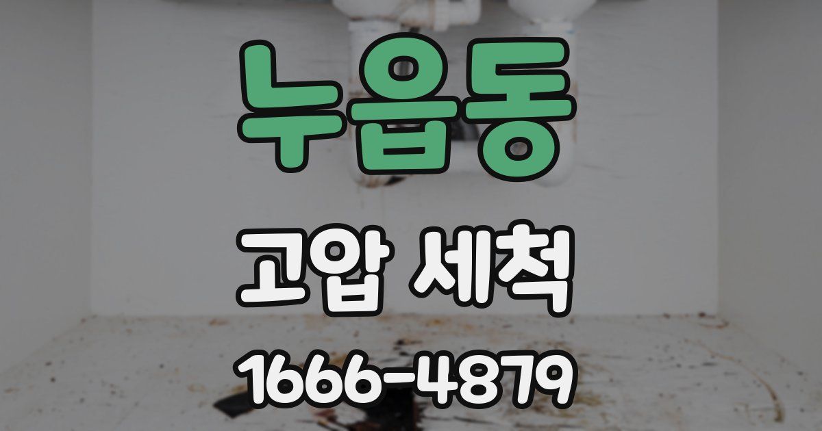 누읍동 고압 세척