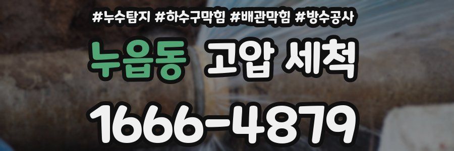 누읍동 고압 세척