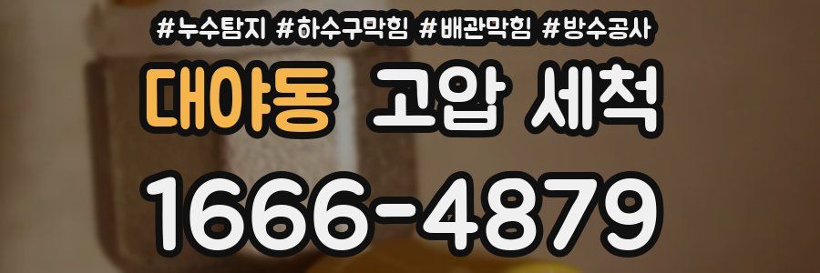 대야동 고압 세척