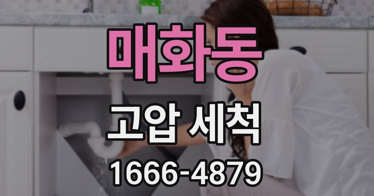매화동 고압 세척