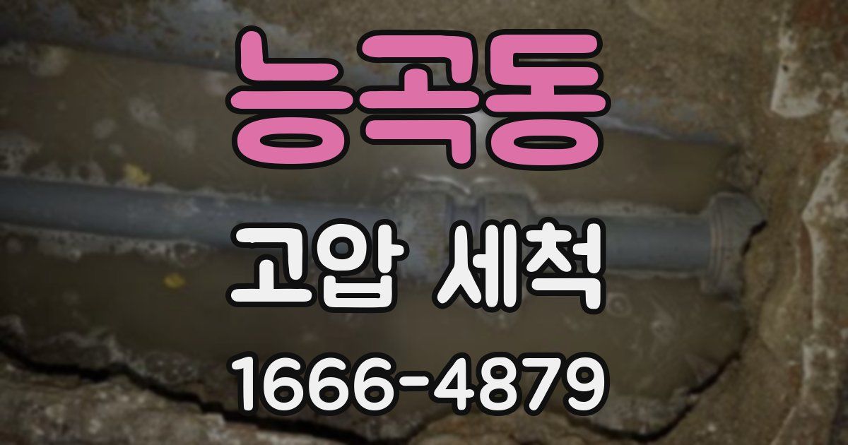 능곡동 고압 세척