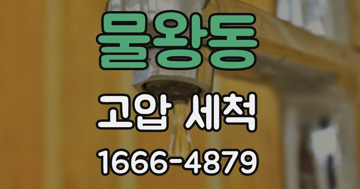 물왕동 고압 세척
