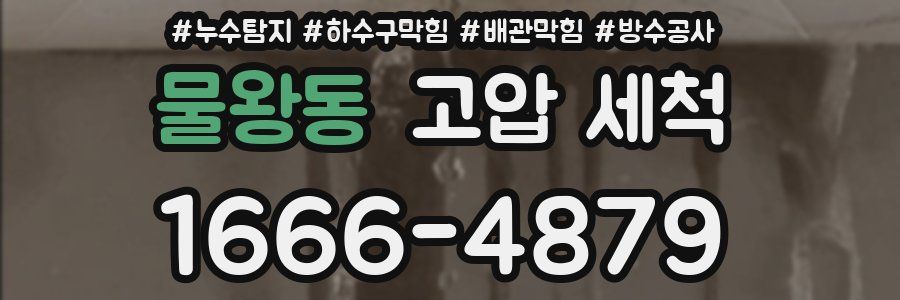 물왕동 고압 세척