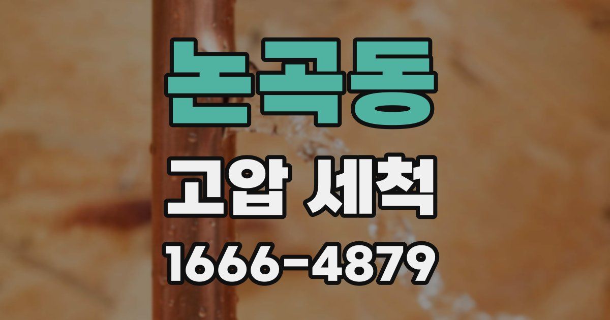 논곡동 고압 세척