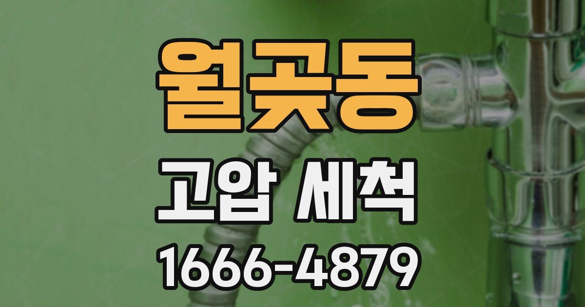 월곶동 고압 세척
