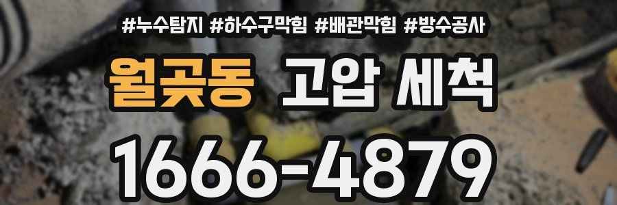 월곶동 고압 세척