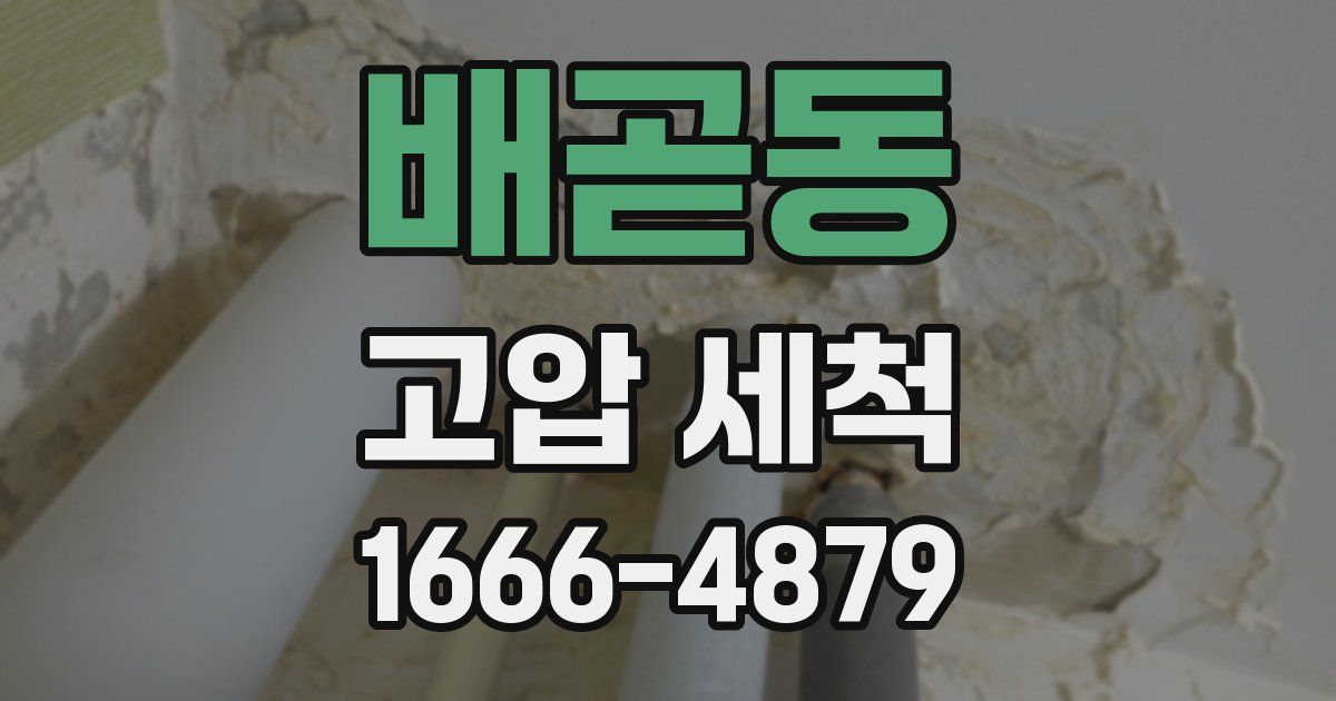 배곧동 고압 세척