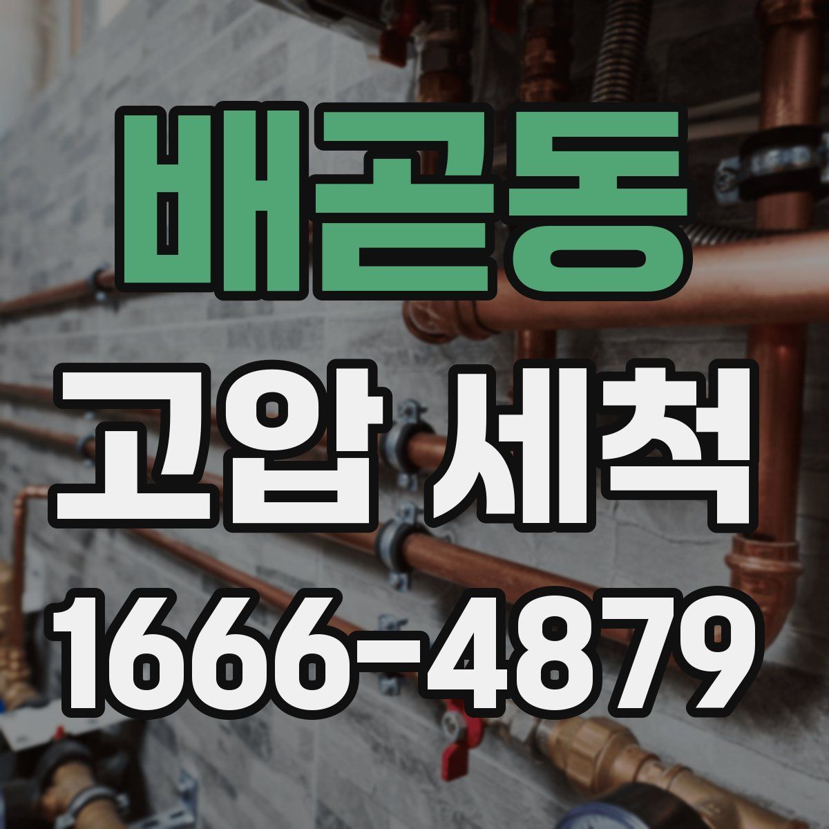배곧동 고압 세척