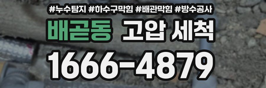 배곧동 고압 세척