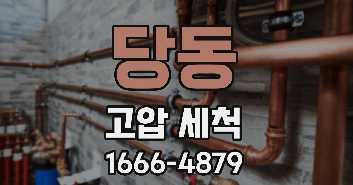 당동 고압 세척