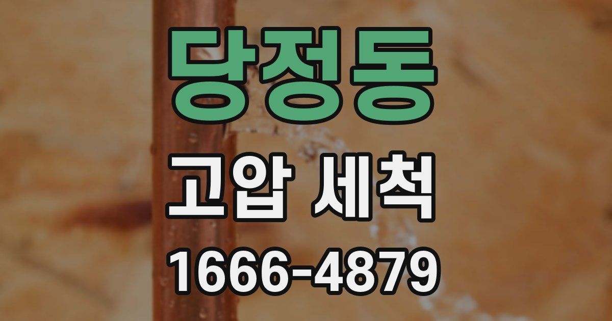당정동 고압 세척