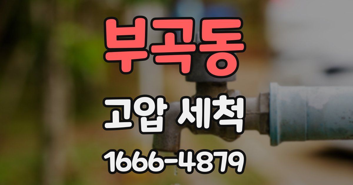 부곡동 고압 세척