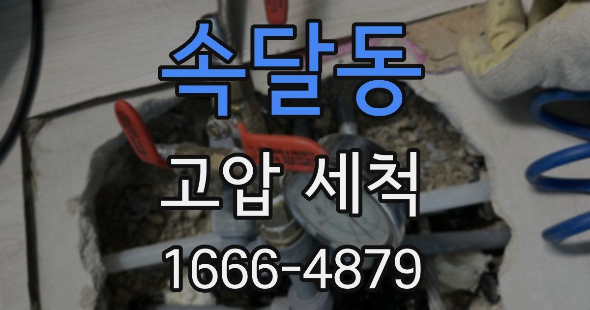 속달동 고압 세척