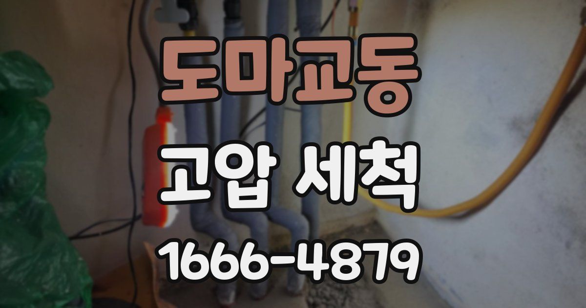 도마교동 고압 세척