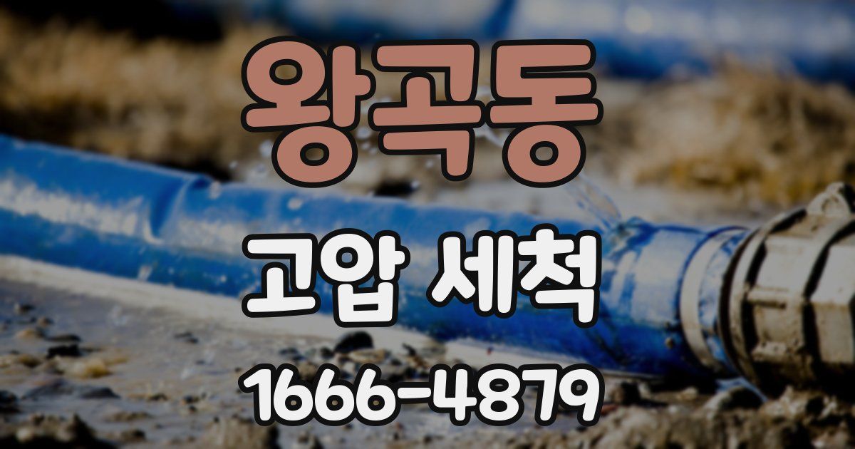 왕곡동 고압 세척