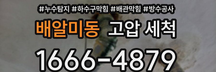 배알미동 고압 세척