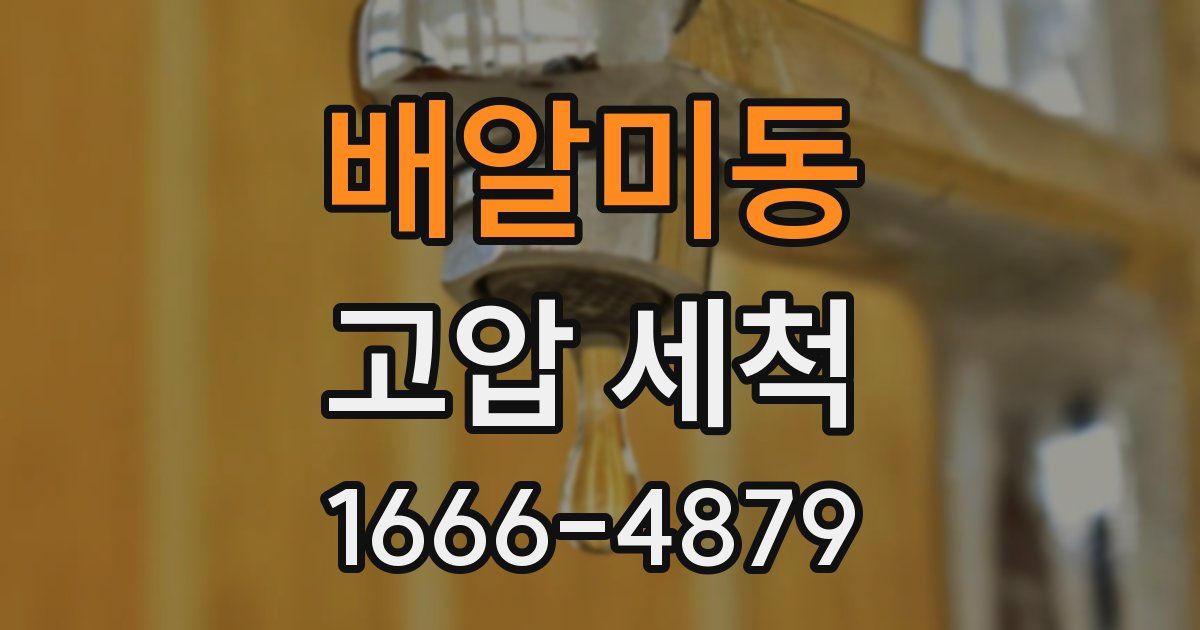 배알미동 고압 세척