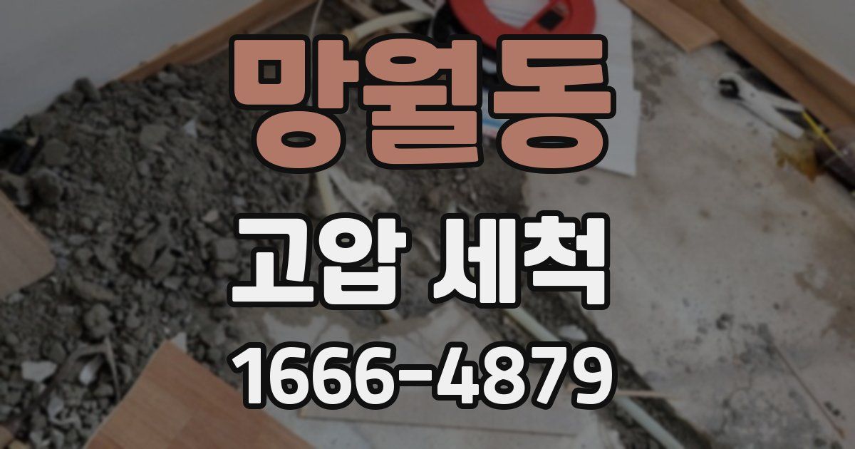 망월동 고압 세척