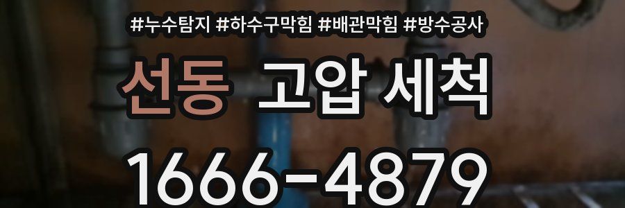 선동 고압 세척