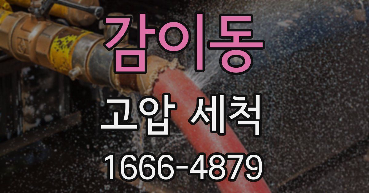 감이동 고압 세척