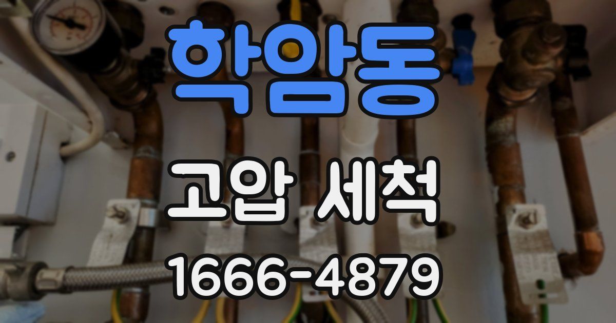 학암동 고압 세척