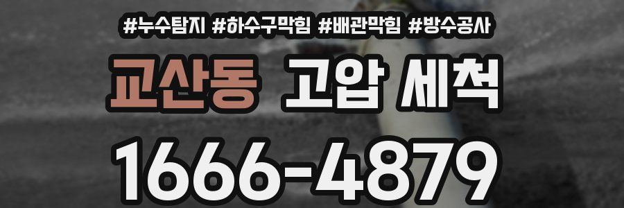 교산동 고압 세척