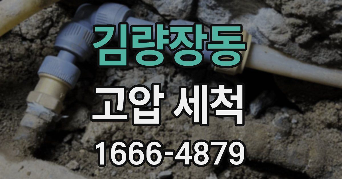 김량장동 고압 세척