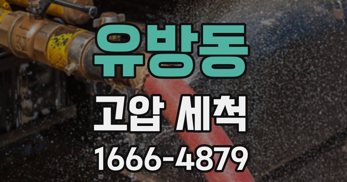 유방동 고압 세척